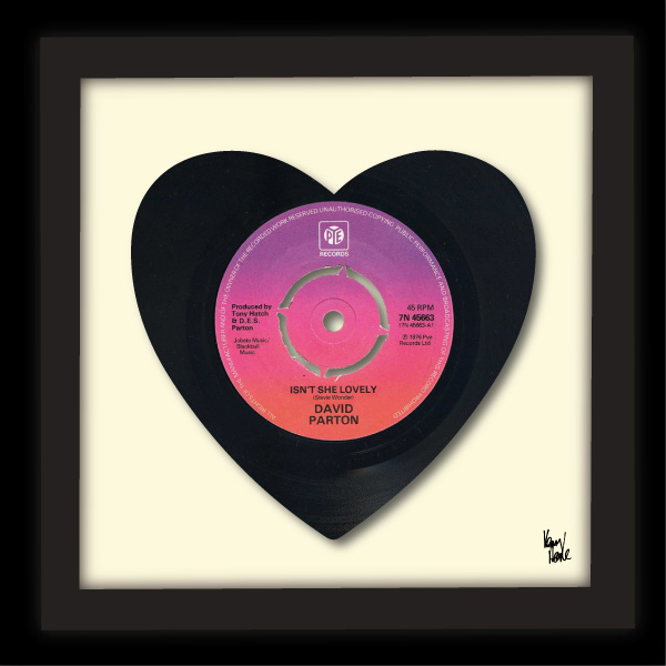 Isn’t She Lovely – David Parton (1976) | Kenny Deane Vinyl Art